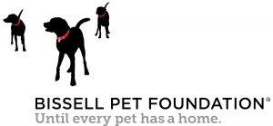 bissell pet foundation